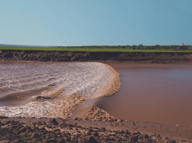 Tidal bore phenomenon